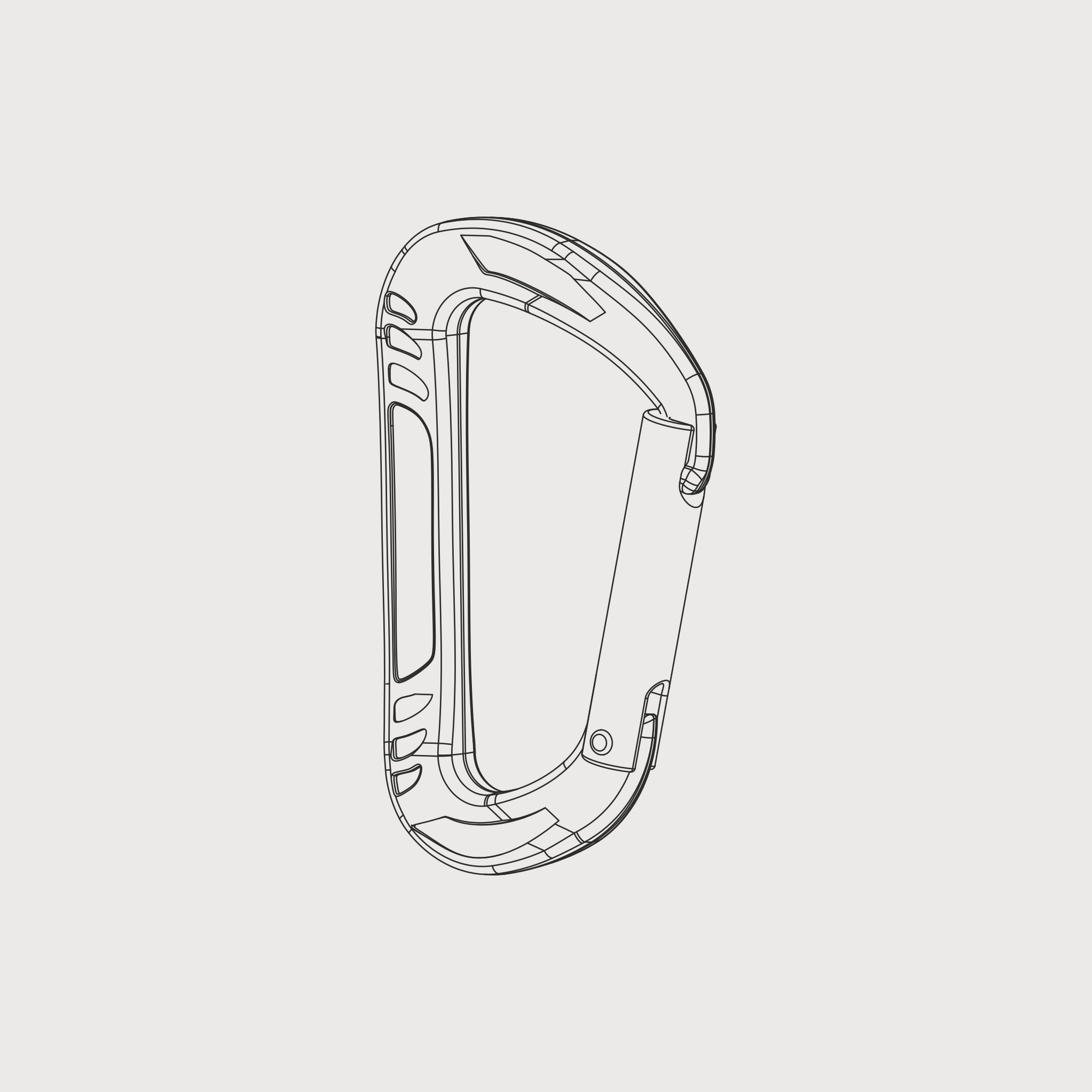 Carabiner