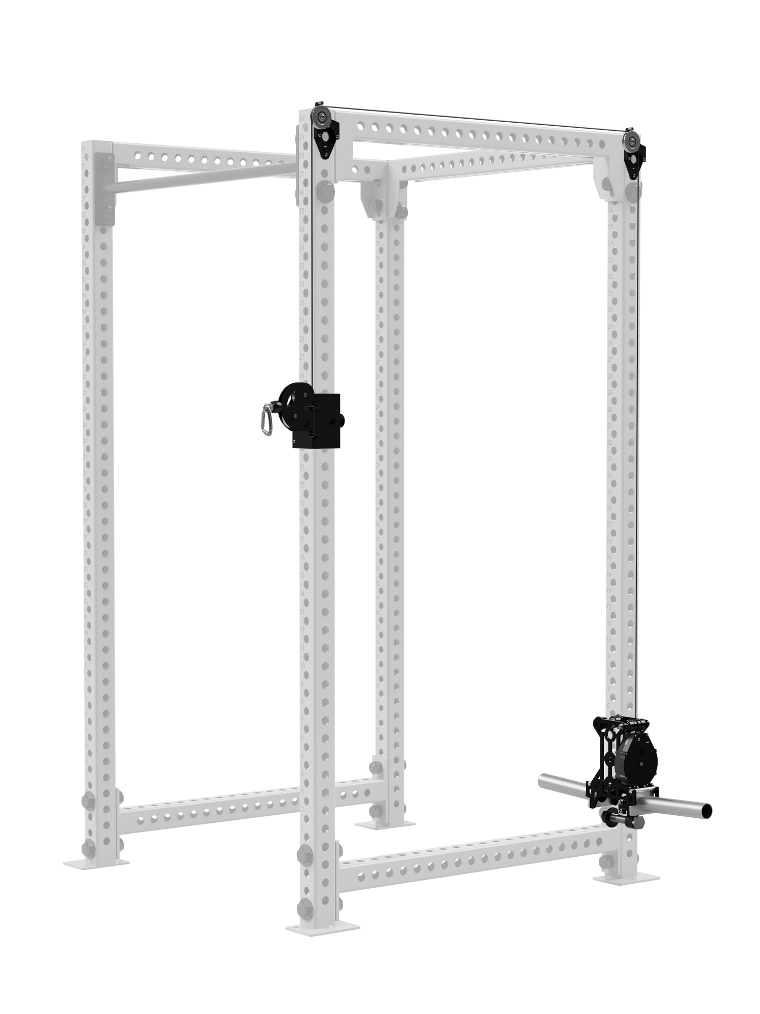 Dialed Motion